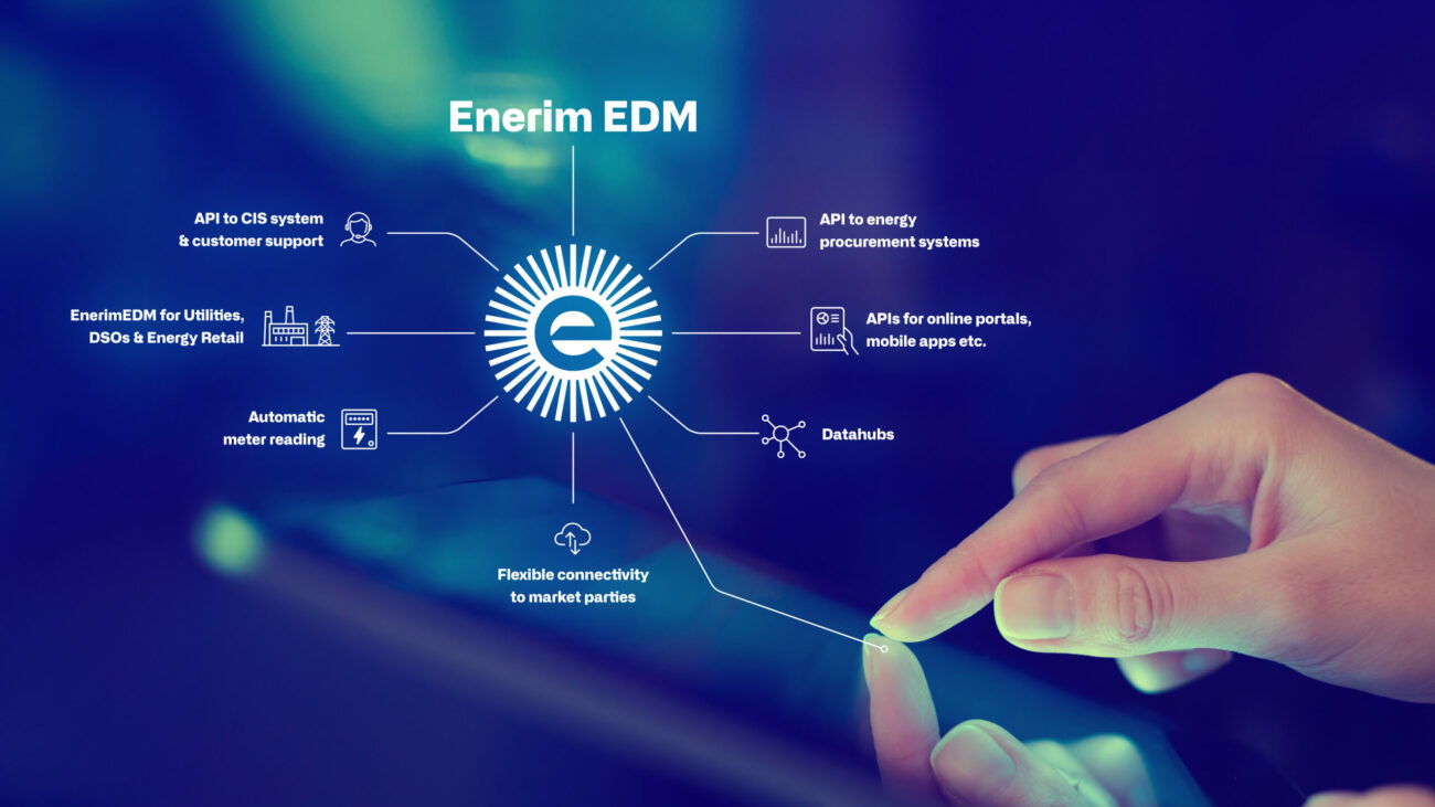enerim_datalines_017-scaled