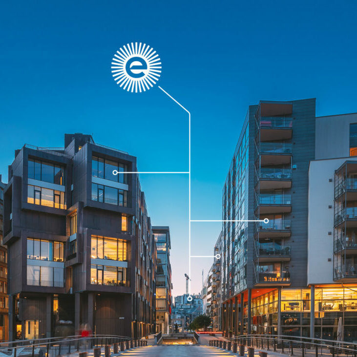 enerim_datalines_04-landscape-9b96d666e748482dea837ca760b3bb30-h8zqwudeno92